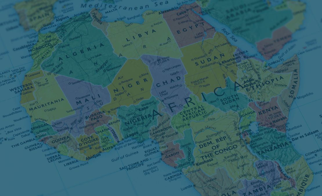 CIPS: Africa and International Real Estate